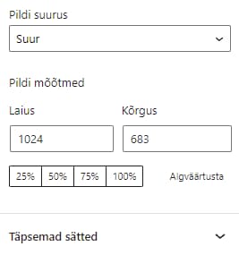 Pildi suuruse valikud pildiploki seadetes